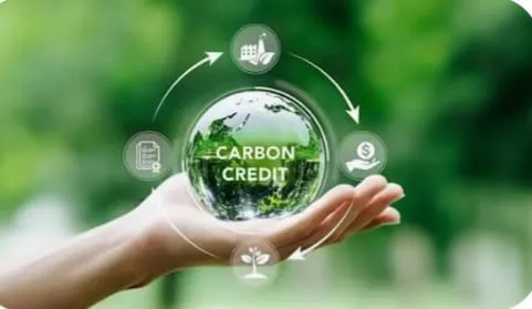 Carbon-Credits