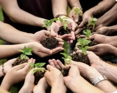 Young-Minds-Green-Future